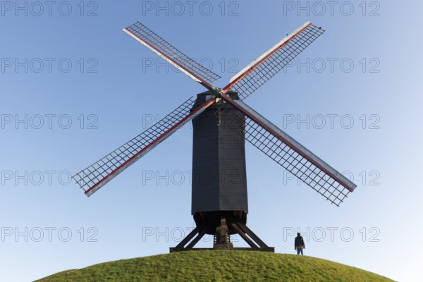 Historic windmill on the ramparts, Bruges, West Flanders, Flanders, Belgium, Europe