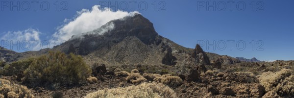 Faded Teide gorse and the summit of Montaña Guajara, also: Alto de Guajara, 2715m, crater walls,
