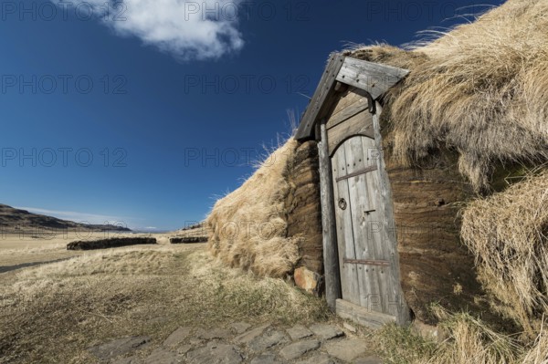 Traditional turf house with wooden door and grass roof in the sunshine, replica of a Viking