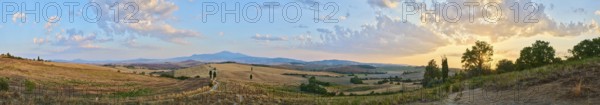 Typical Tuscan landscape in Val d'Orcia with hills, trees, fields, cypresses and farm road in