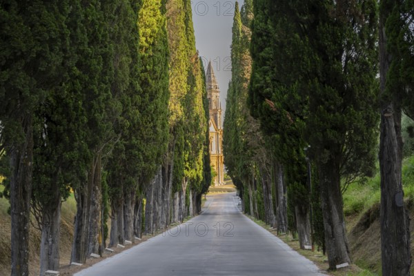 Road going through cypress trees to San Biagio Renaissance Church in autumn, architect Antonio da