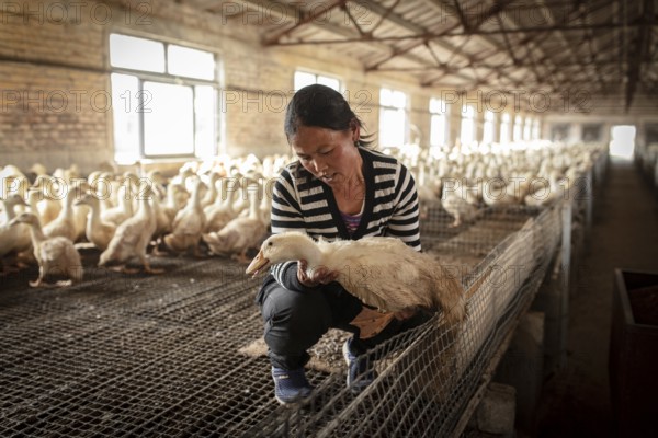 Labourer Ma Jian Hui, the workers live in the respective buildings where the ducks are kept, a