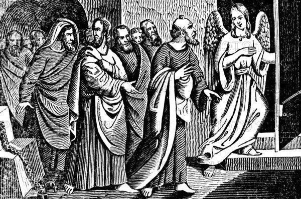 The chief high priest condemns the apostles, an angel frees the apostles from their prison, New