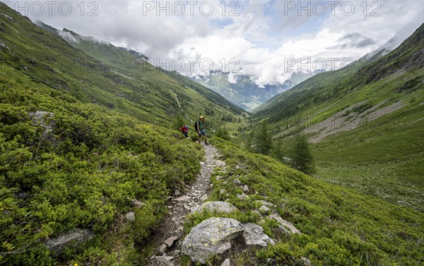 Mountaineer on a hiking trail in Mullitztal, ascent to the Lasörlinghütte from Virgental,