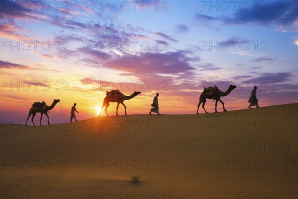 Indian cameleers camel drivers bedouin with camel silhouettes in sand dunes of Thar desert on