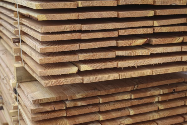 Solingen, North Rhine-Westphalia, Germany - Larch logs are processed into construction timber,