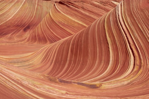 The Wave, impressive sandstone formation with wave-like patterns in various shades of red and