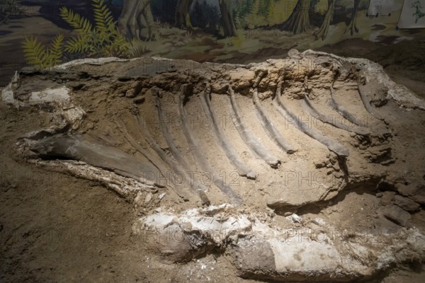 Vernal, Utah, The Utah Field House of Natural History State Park Museum displays dinosaur models,