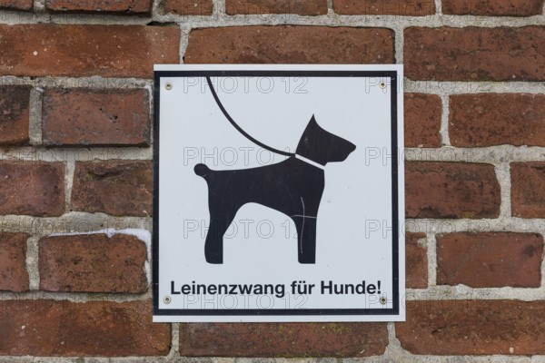 Sign on a wall indicating that dogs must be kept on a lead, Klütz, Mecklenburg-Western Pomerania,