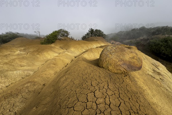 Yellow soil and rocks, erosion, near Arguamul, La Gomera, Canary Islands, Spain, Europe