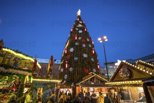The largest Christmas tree at the Dortmund Christmas market at dusk, Dortmund, North