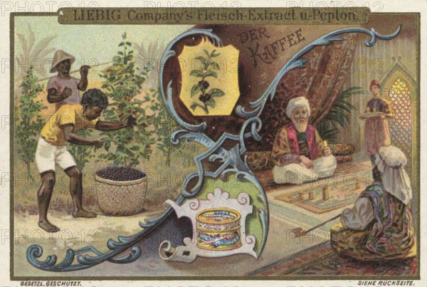 Picture series Drinks of the World, The Coffee, Liebig picture, digitally restored reproduction of