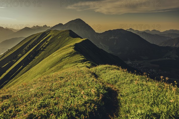 Hiking tour on the Hönig mountain in the Lechtal valley near Berwang in Tyrol, Austria, Europe