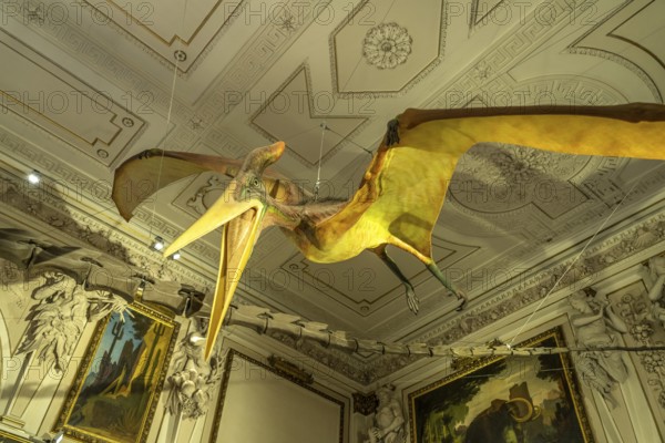 Pteranodon model, pterosaur, Natural History Museum Vienna, Austria, Europe