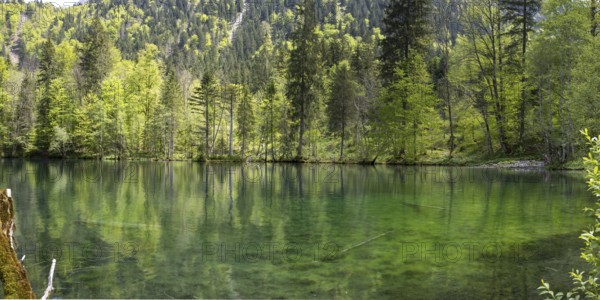 Christlessee on a sunny day in spring, a mountain lake in the Trettachtal, near Oberstdorf,