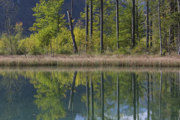 Autumn mood at lake Almsee, Grünau, Austria, Totes Gebirge, Europe