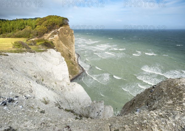 View of the chalk cliffs of Møns Klint on the Baltic Sea, Møn Island, Denmark, Europe