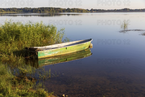 Rowing boat lying in the reeds at the old lido of the Quitzdorf dam, Upper Lusatia, Saxony,