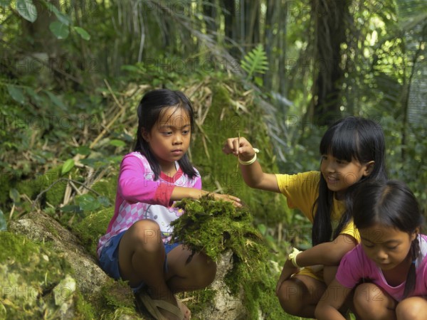 Girls in the forest playing with moss, Tana Toraja, Sulawesi, Indonesia, Asia