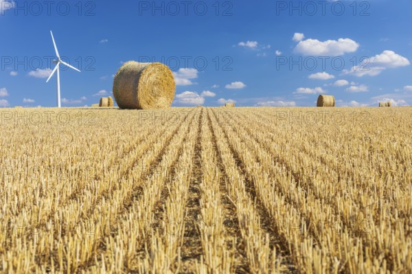 Straw bales on a harvested grain field, stubble field, in the background a wind turbine, Nossen,