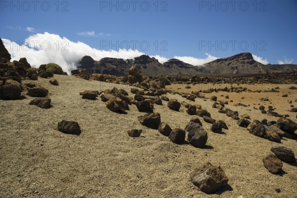 Volcanic landscape, plateau, Parque Nacional de las Cañadas del Teide, Teide National Park, UNESCO