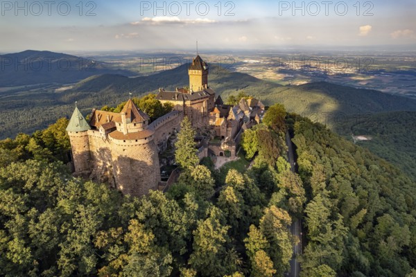 The Haut-Koenigsbourg Castle seen from the air, Orschwiller, Alsace, France, Europe