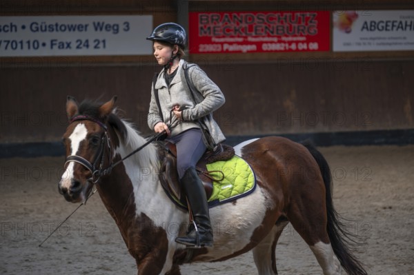 Little girl, 10 years old, on a horse in an indoor riding arena, Mecklenburg-Vorpommern, Germany,