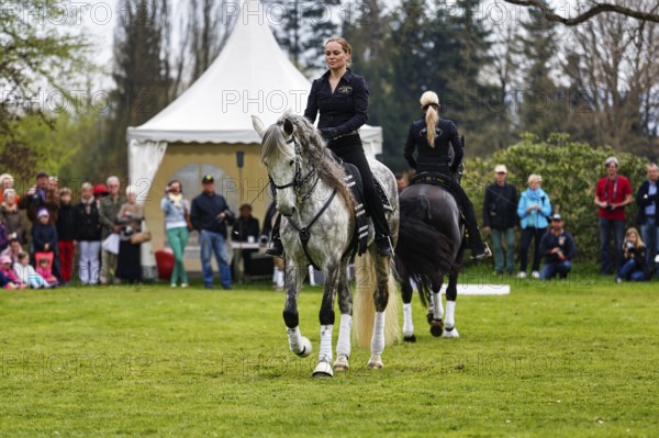 Two female riders, Andalusian, Pura Raza Española, dressage demonstration, audience, Garden
