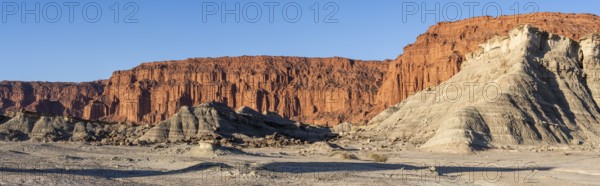 Ischigualasto Provincial Park, Villa San Agustín, San Juan Province, Argentina, South America