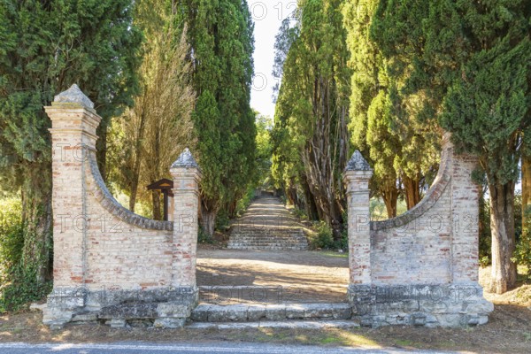 Entrance to Parco Cipressaia with path through columnar cypresses (Cupressus sempervirens),
