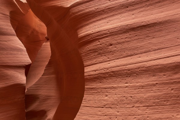 Fascinating sandstone formations in Antelpoe Canyon, showing soft, wave-like structures, Antelope