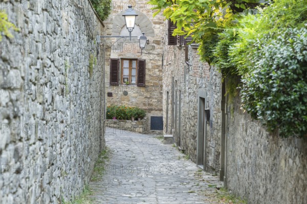 View of a little Street in the little wine town of Montefioralle, Chianti, Florence, Firenze,