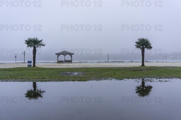 The Seaside Beach, at the Lake Baldeney in Essen, dull, very foggy January day, palm trees are