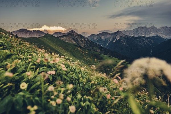 Hiking tour on the Hönig mountain in the Lechtal valley near Berwang in Tyrol, Austria, Europe