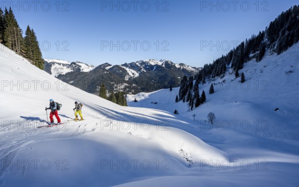 Two ski tourers in a wintry mountain landscape, ascent to Roßkopf, Mangfallgebirge, Bavaria,