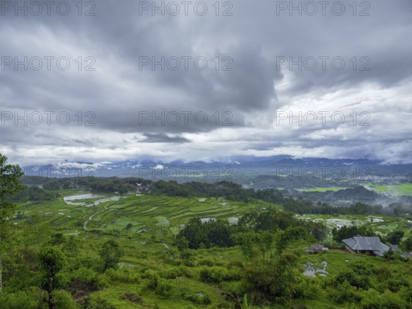 Landscape with green rice terraces, Tana Toraja, Sulawesi, Indonesia, Asia