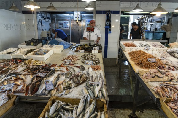 Fresh fish in the market hall of Chania, Crete, Greece, Europe