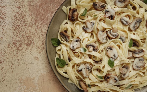 Fettuccine with champignons, basil, in cream sauce, homemade, no people