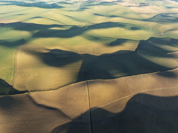 Farmland in the Campiña Cordobesa, the fertile rural area south of the town of Córdoba. Aerial view
