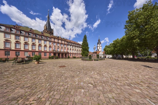 Erbach Castle, trees, cobblestones, church tower of Erbach town church, blue sky with cumulus