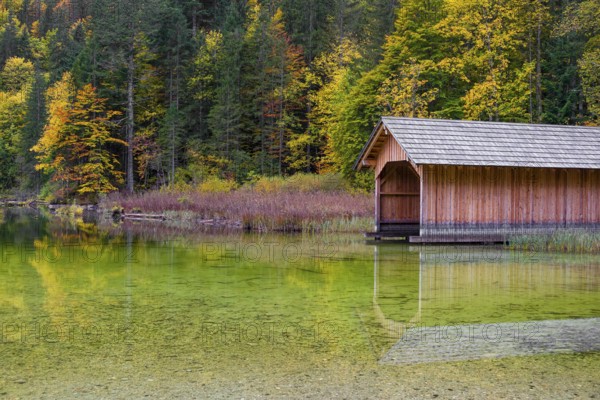 Lake Toplitz, forest in full autumn colors, Boatshelter, Austria, Europe