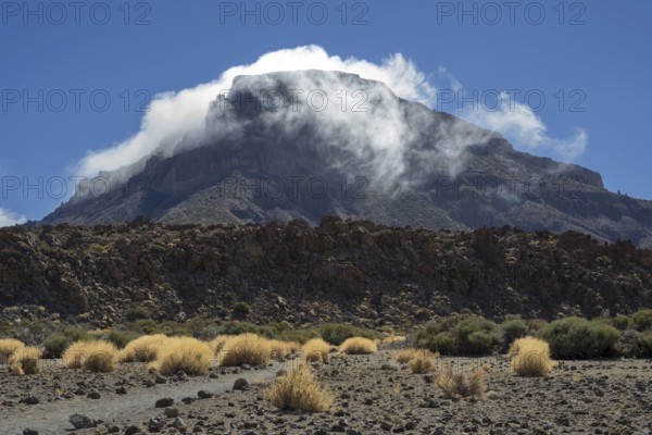 Faded Teide gorse and the summit of Montaña Guajara, also: Alto de Guajara, 2715m, crater walls,