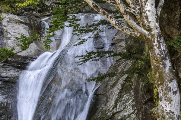 Waterfall near Sonogno, Verzasca Valley, Valle Verzasca, Canton Ticino, Switzerland, Europe