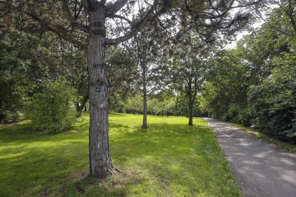 Essen, North Rhine-Westphalia, Germany - Trees, meadow and path in Emscherpark