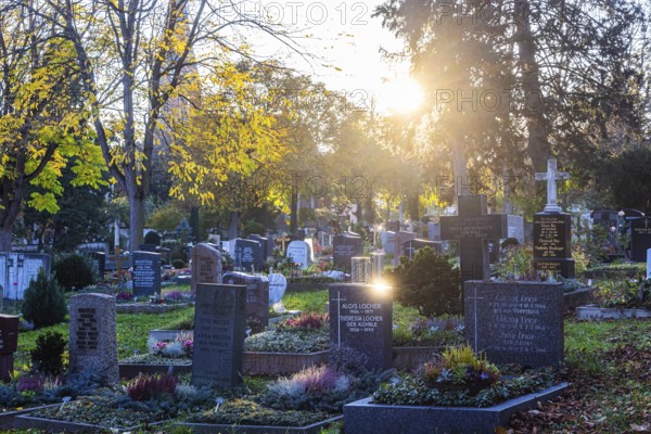 All Saints' Day at the Bergfriedhof cemetery in Stuttgart. Catholics commemorate their deceased