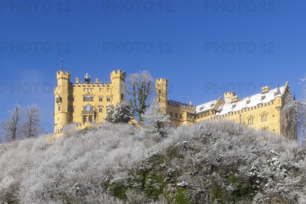 Yellow castle on a hill with snow-covered trees under a clear blue sky, Hohenschwangau Castle,