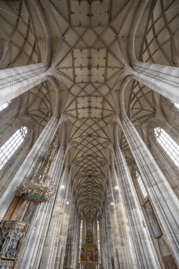 Reticulated vault with chancel of the late Gothic hall church of St George, Dinkelsbühl, Bavaria,