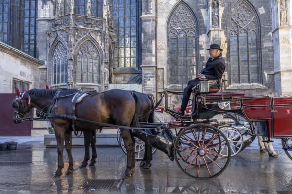 Coachman waiting for customers, Vienna, Austria, Europe