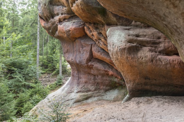 Washed-out sandstone at the Kelchsteine natural monument near Oybin, Zittau Mountains, Saxony,
