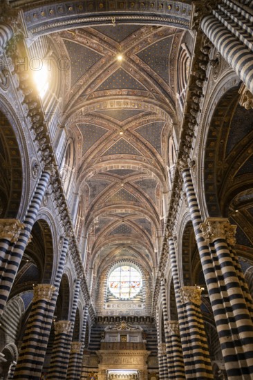 Interior with striped columns and decorated ceiling, Siena Cathedral or Cattedrale di Santa Maria